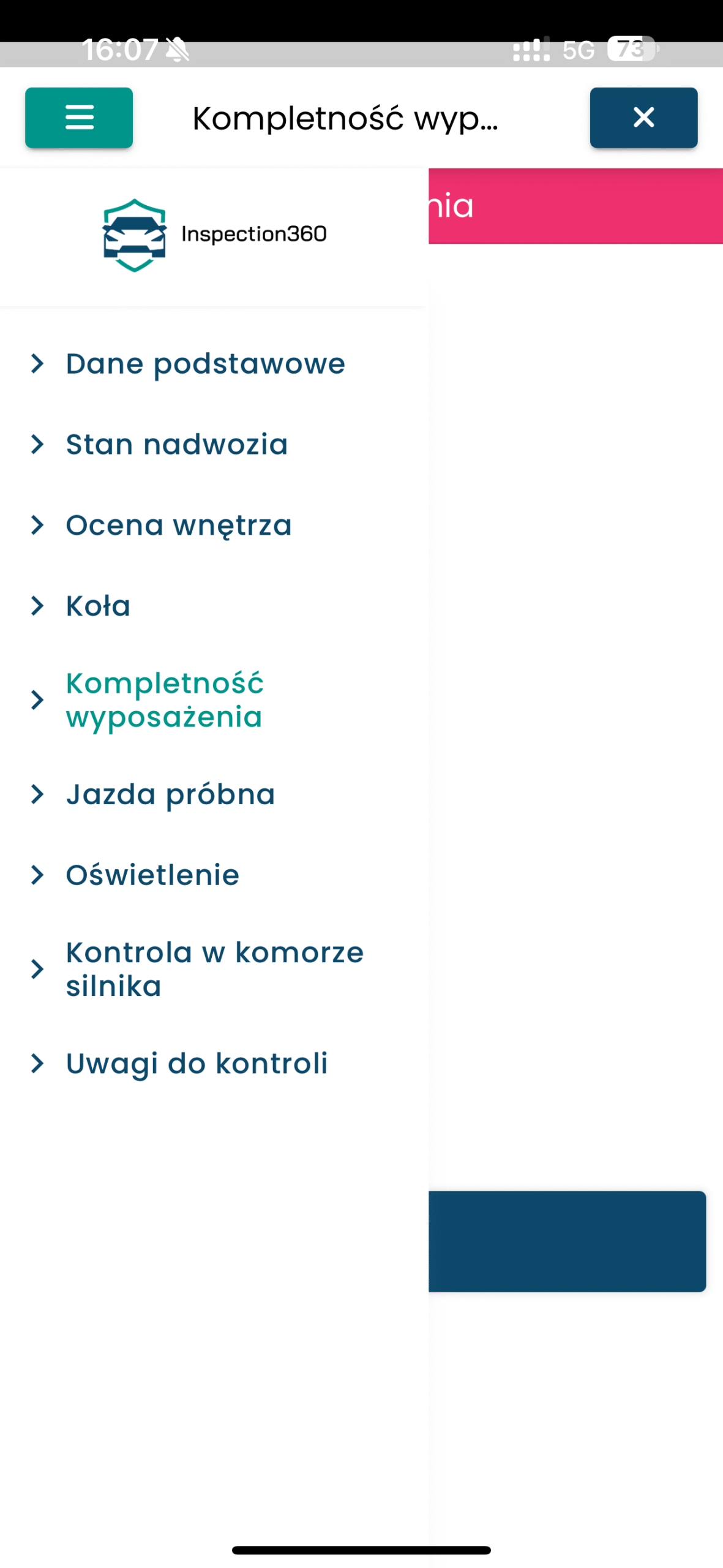 Nawigacja po kategoriach inspekcji